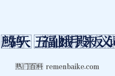 鹧鸪天·五福仙娥月殿来反义词是什么意思的图片